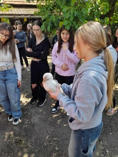 2024.05.16. - 9.D osztály Látogatása a Frankó Tanya és Haluskaházba_10