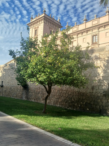 2025.11.17. - Tanulói mobilitás -Spanyolország - 2025.10.23-2025.11.20_05