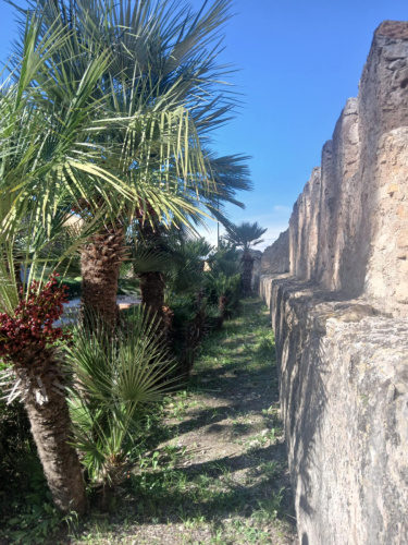 2025.11.17. - Tanulói mobilitás -Spanyolország - 2025.10.23-2025.11.20_16