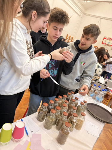 2025.11.25. - Pályaorientációs nap_08