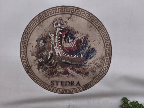 2026.03.22. - Erasmus KA2 Be My Green Törökország - Alanya_69